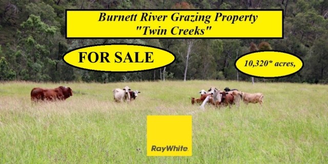 Twin Creeks