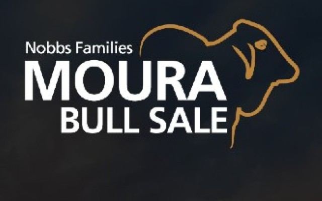 MOURA BULL SALE 2025