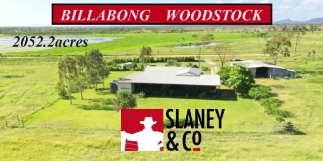 BILLABONG, WOODSTOCK