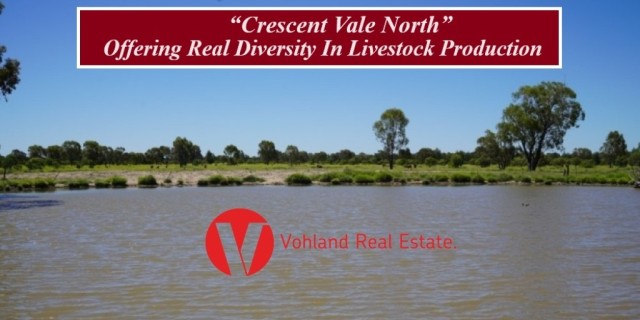 Crescent Vale North.