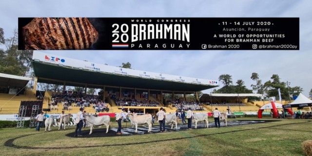 20th World Brahman Congress –  Paraguay