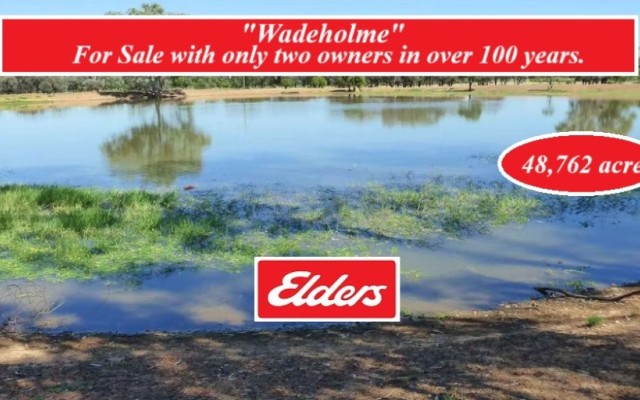 Wadeholme
