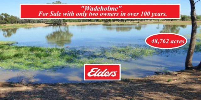 Wadeholme
