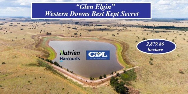 Glen Elgin