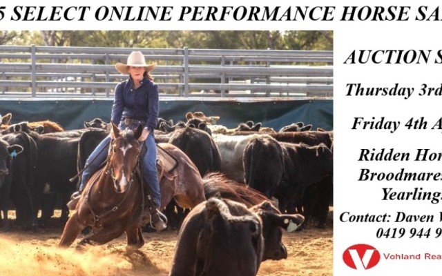 Select Online Performance Horse Auction Sale.