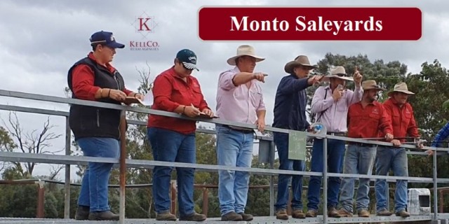 Monto Sale Report 