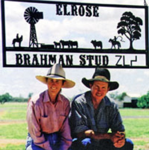Elrose Brahman Stud