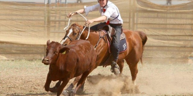 Mounted Games at Roma Pony club 