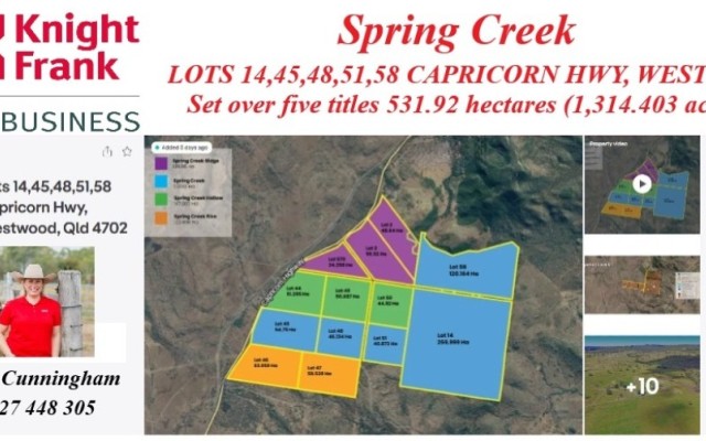 Spring Creek 