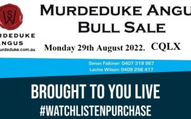 Murdeduke Angus Rockhampton Bull Sale