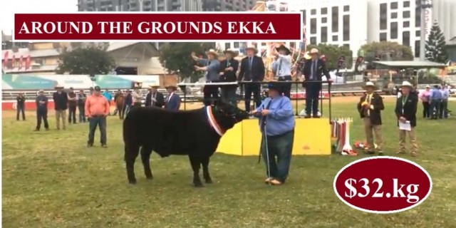 AROUND THE GROUNDS AT EKKA