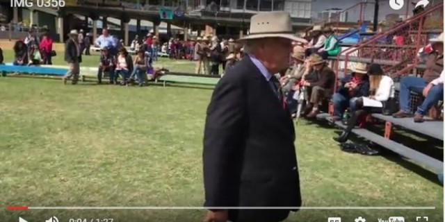 Ekka 2016 Brahman Results