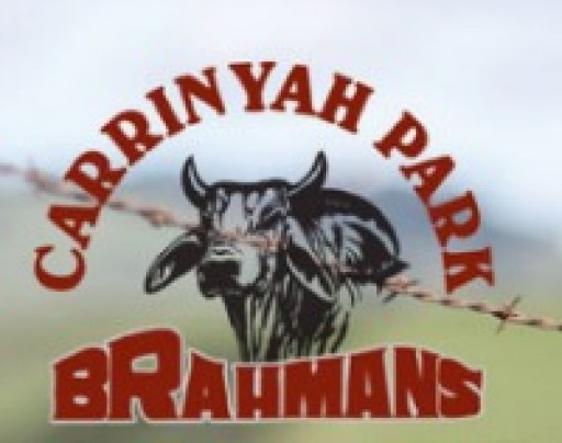 Carrinyah Park Brahman Stud 