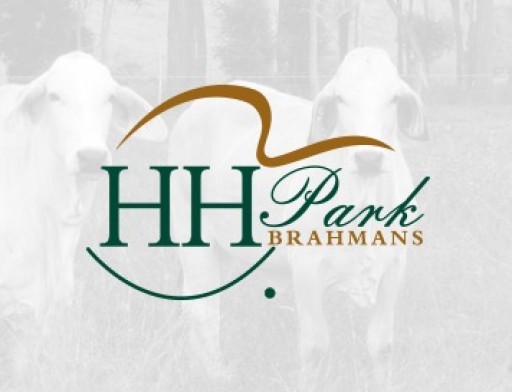 HH Park Brahman Stud 