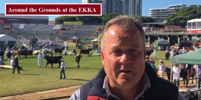 AROUND THE GROUNDS AT EKKA