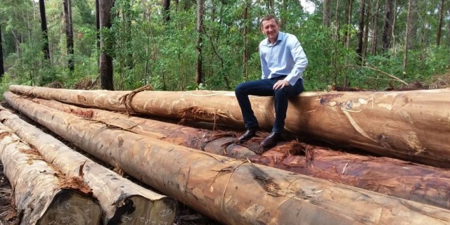 Wanted Your Timber.