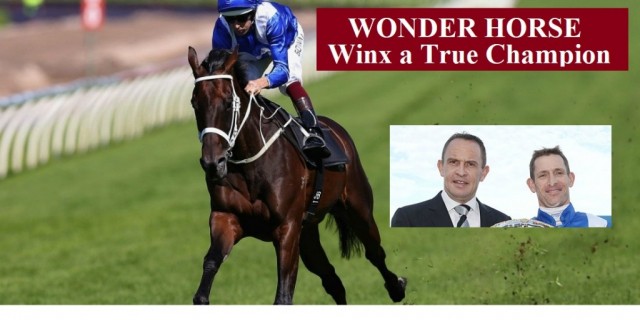 Winx a True Champion 