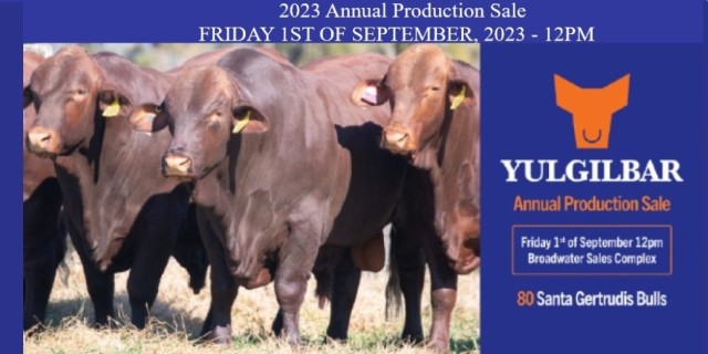 Yulgilbar 2023 Annual Production Sale