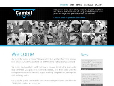 Cambil Brahmans