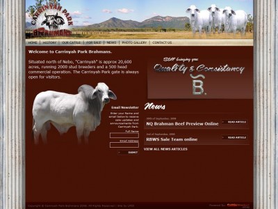 Carrinyah Park Brahmans