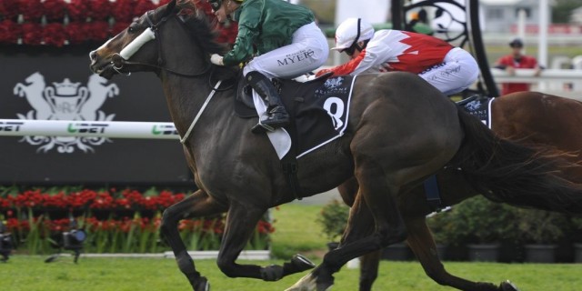 Self Sense romps home to win Ipswich Cup 
