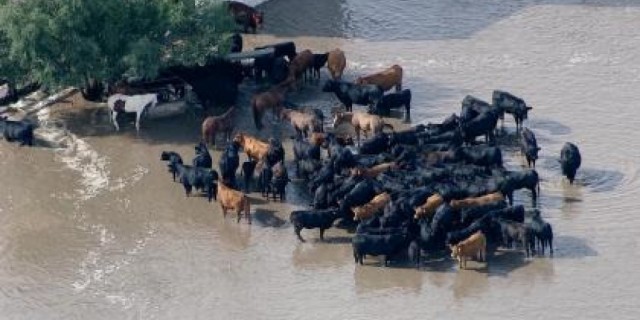 Let's spare a thought for our friends in Texas