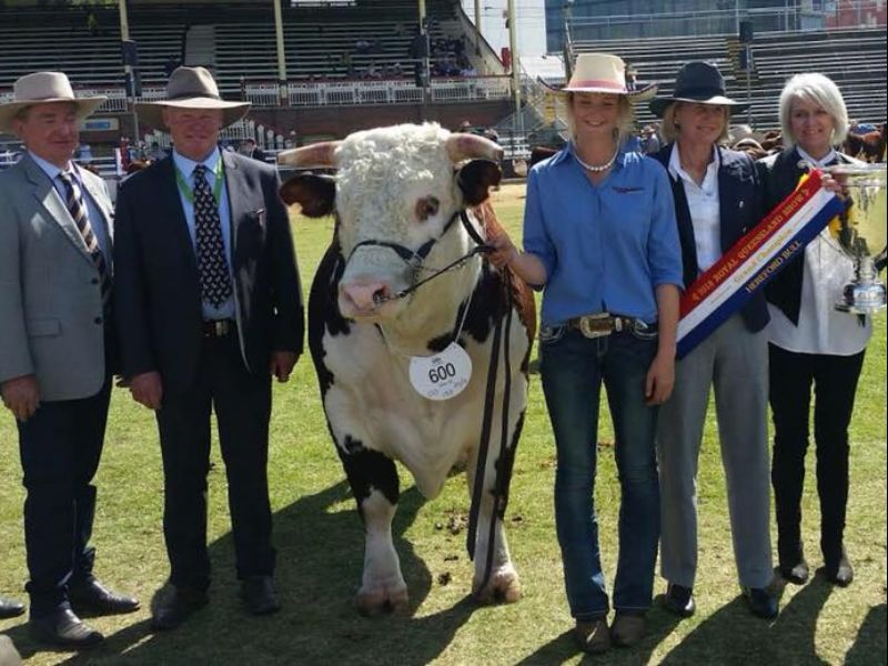 M.D.M.  EKKA WRAP UP