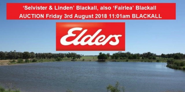 SELVISTER & LINDEN  also "FAIRLEA" at  BLACKALL  