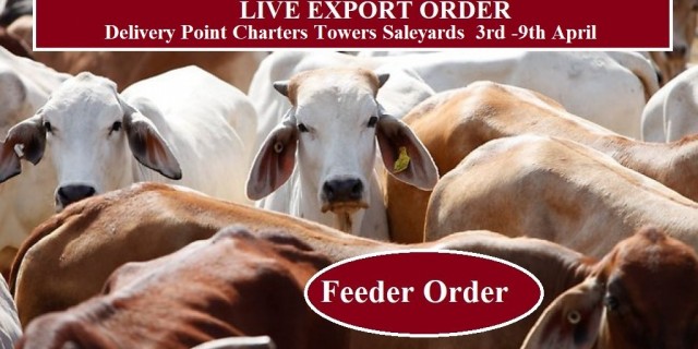 LIVE EXPORT FEEDER ORDER  APRIL