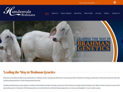 Hamdenvale Brahmans