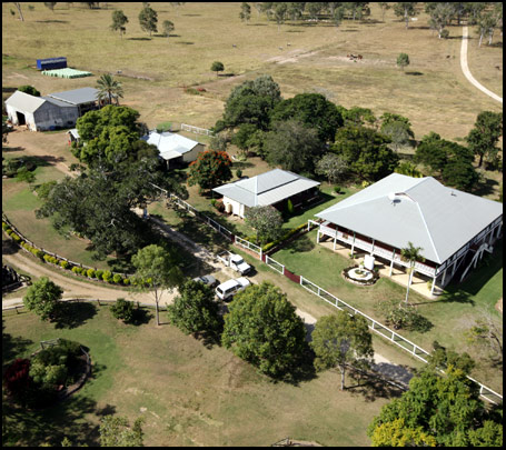 Raglan Brahmans