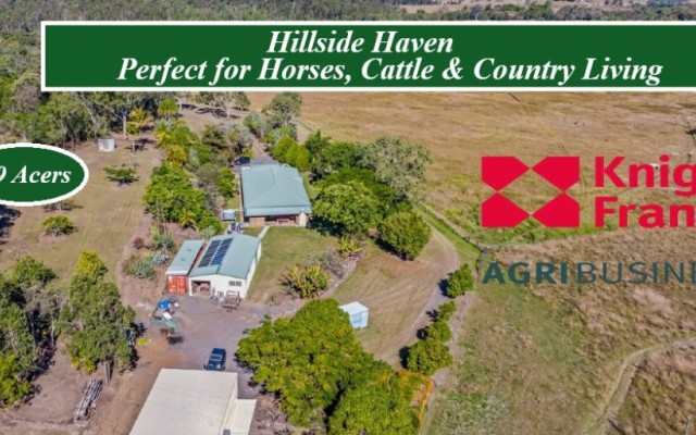 Hillside Haven 