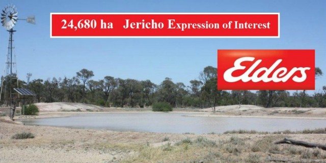 EXPRESSIONS OF INTEREST  ( JERICHO)