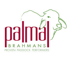 Palmal Brahmans 