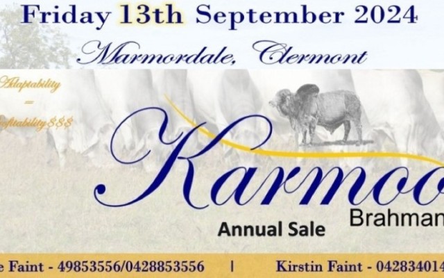 Karmoo Bull Sale Marmordale Clermont.