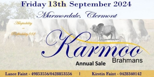 Karmoo Bull Sale Marmordale Clermont.