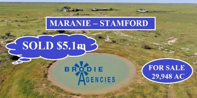 MARANIE – STAMFORD 