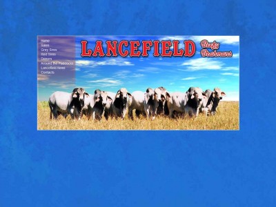 Lancefeild Brahmans