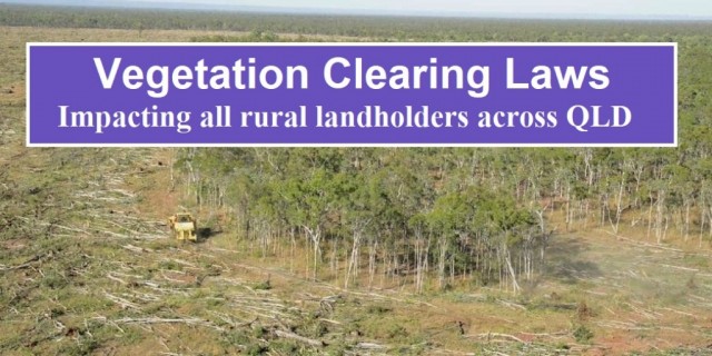  Vegetation Clearing Laws (What you need to know) 
