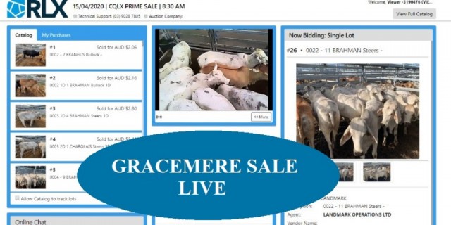 Gracemere live on Wednesdays 