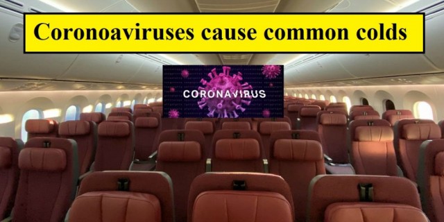 Coronoaviruses cause common colds