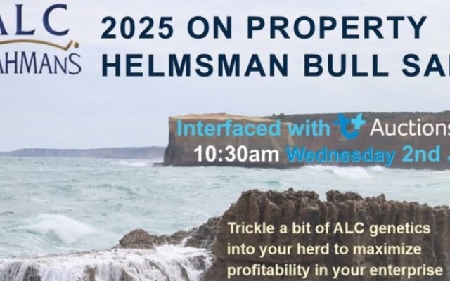 ALC BRAHMANS SALE 2025