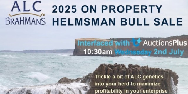 ALC BRAHMANS SALE 2025
