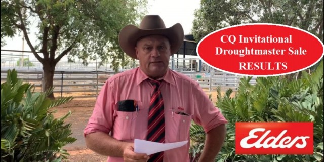 CQ Invitational Droughtmaster Sale 