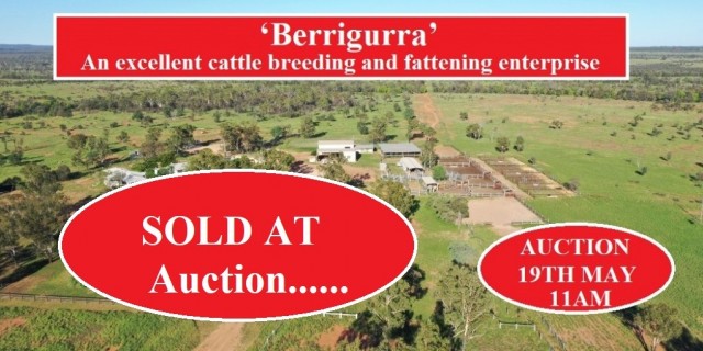  ‘Berrigurra’