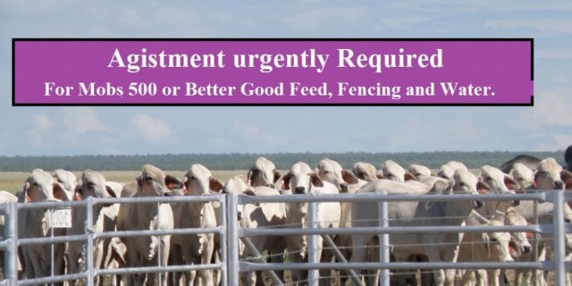 Agistment urgently Required