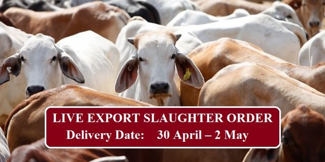  LIVE EXPORT SLAUGHTER ORDER