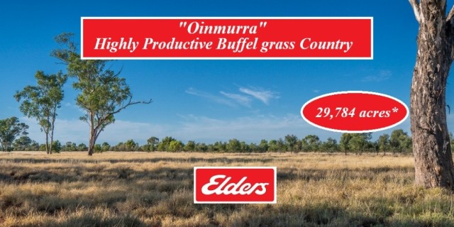 Oinmurra