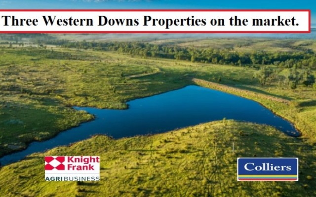  Three Western Downs Grazing Properties on the market.