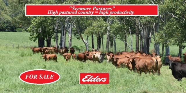 Seemore Pastures